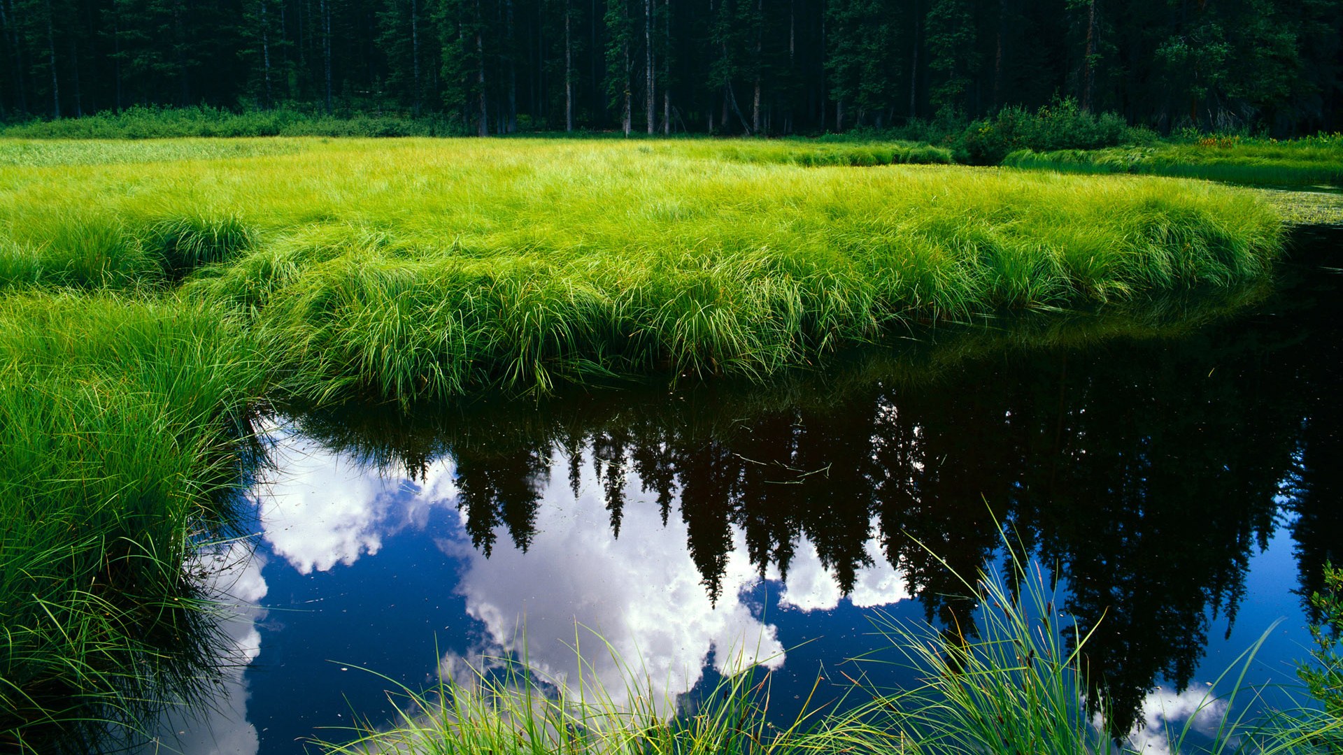 开云体育在线-德约科维奇的双面神格，从拉沃尔杯灵魂导师到戴维斯杯国家灯塔
