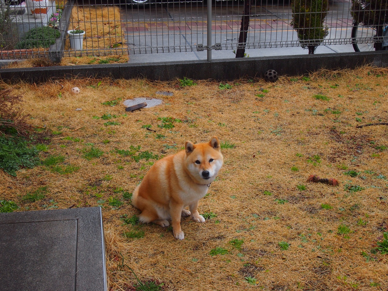 逆境中的王者,托尼奏响英格兰逆转的激昂终章