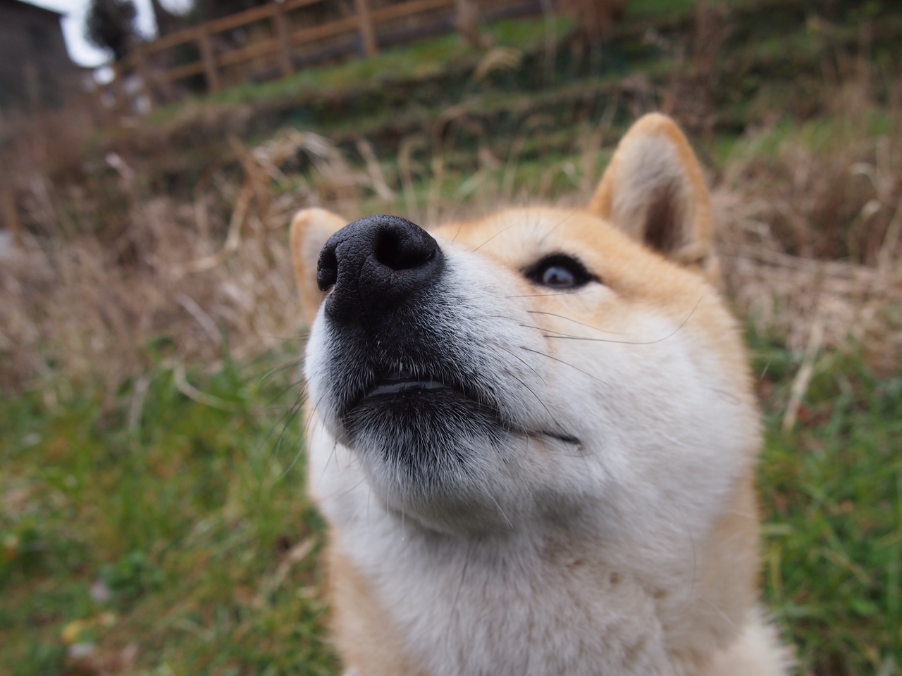 时间的裂缝,一场从未发生却永存于心的总决赛