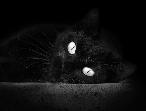 巨人亦有英雄泪,飞鹰破高原—戈贝尔关键战不手软与老鹰硬仗逆袭的同一内核