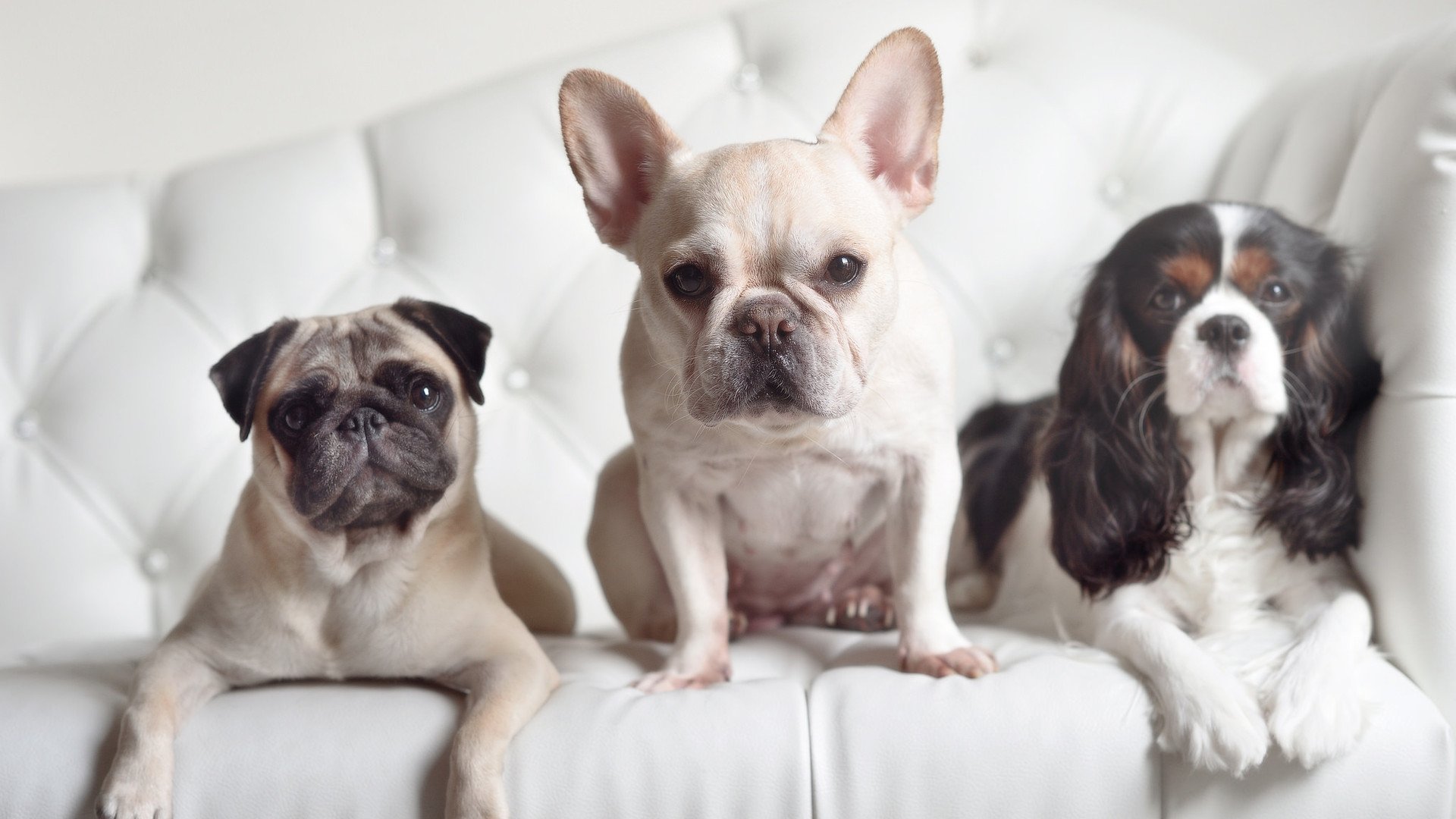 开云sport-当尼日利亚的奔流遇见日本的风暴，而他在舞台中央张开双臂