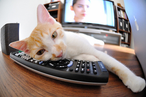 跨界锋芒,当本泽马的足球智慧遇见决胜之夜