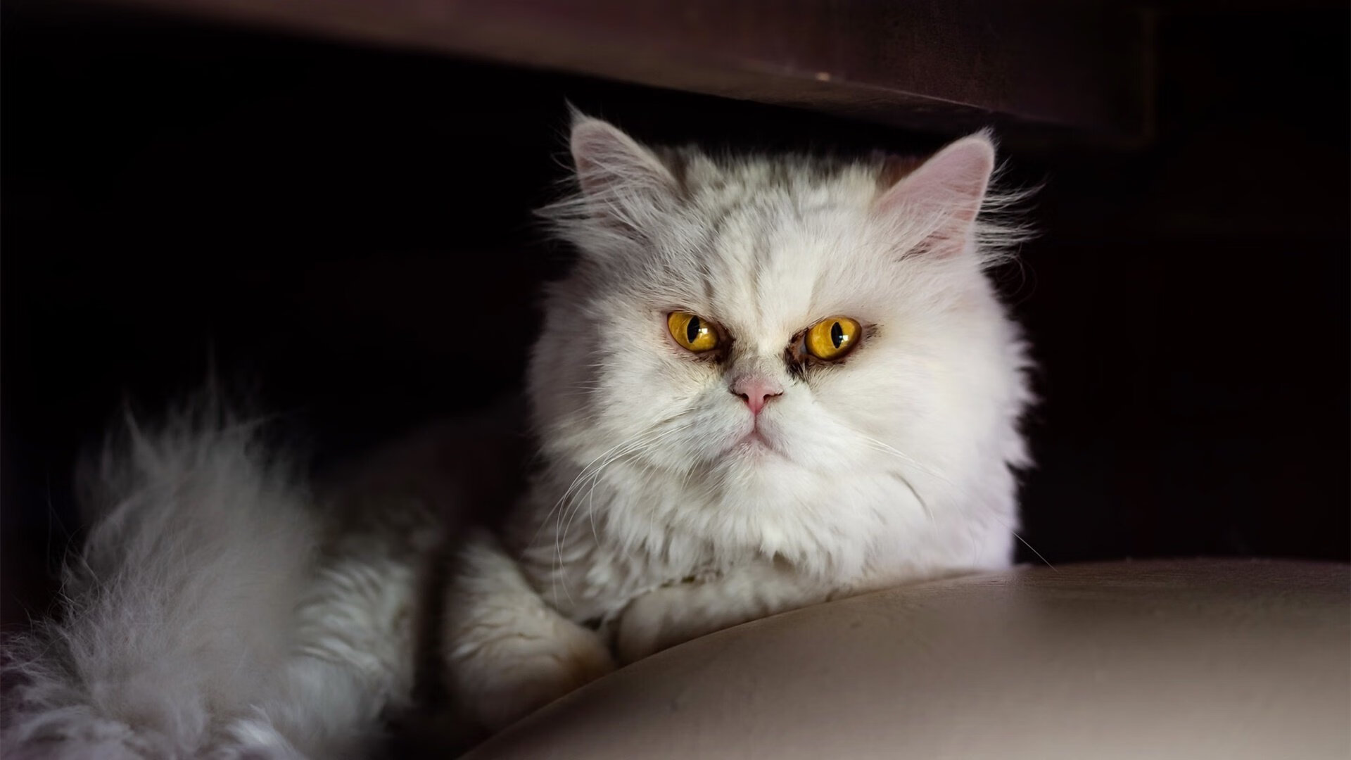 开云体育平台APP-乌拉圭关键战突围马德里竞技，奥纳纳年度焦点之战接管比赛