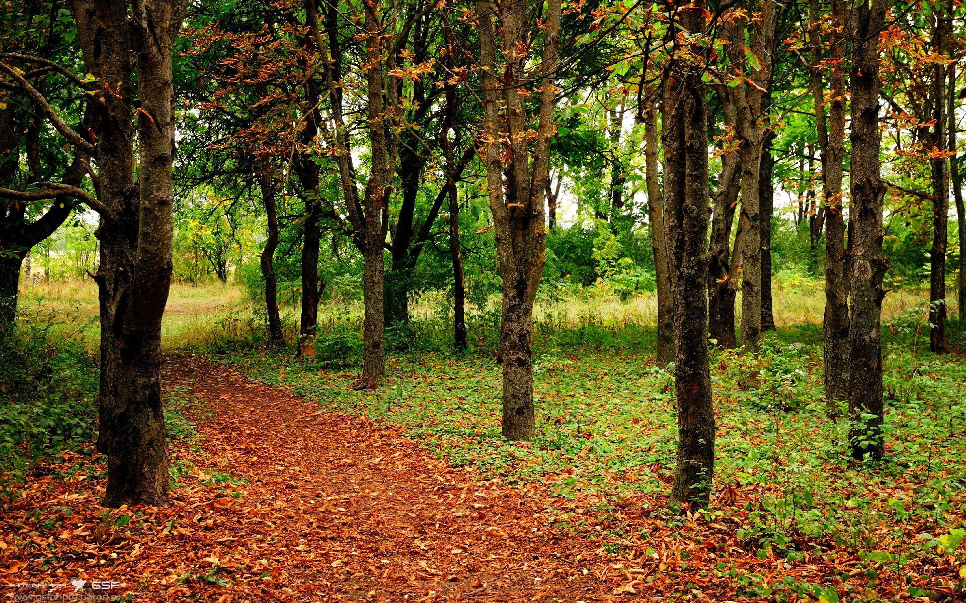 乌拉圭关键战突围马德里竞技，奥纳纳年度焦点之战接管比赛
