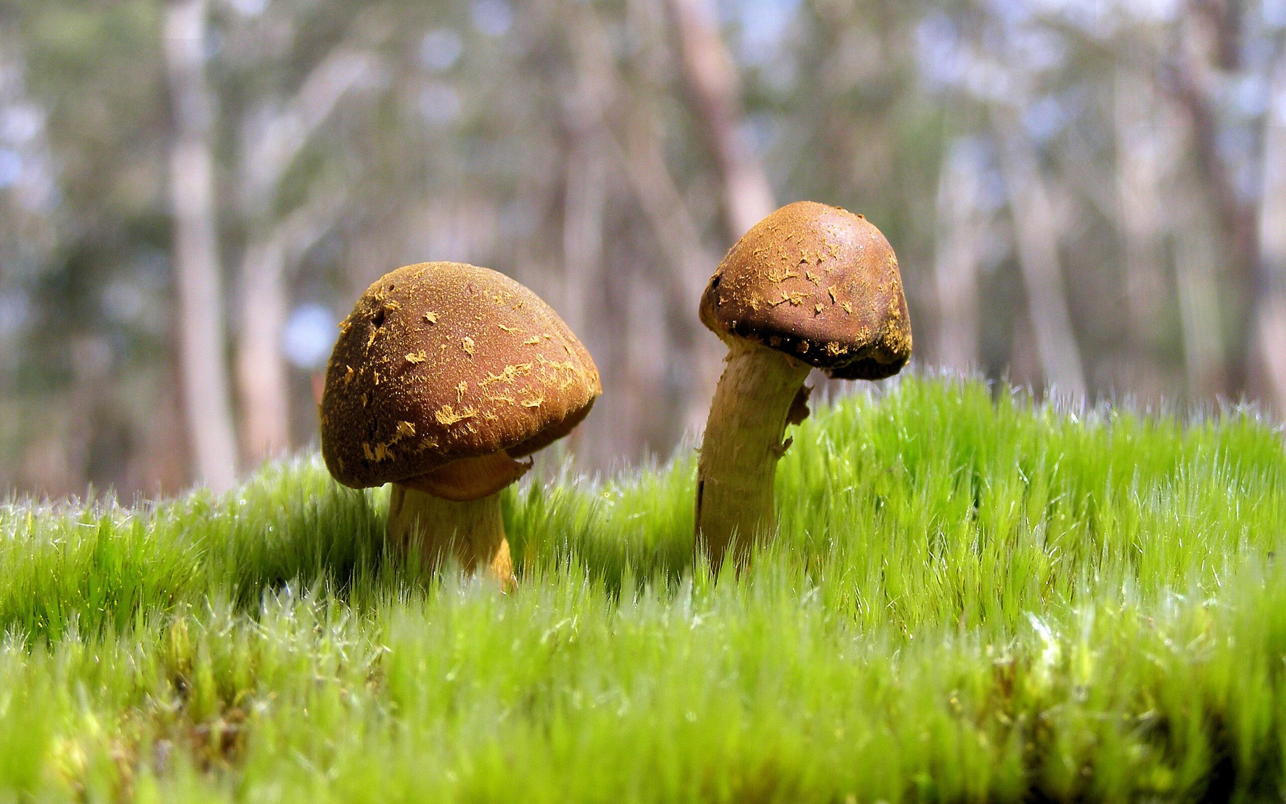 唯一性的双重奏，冰岛速胜巴萨的启示与卡塞米罗抢七接管的传奇