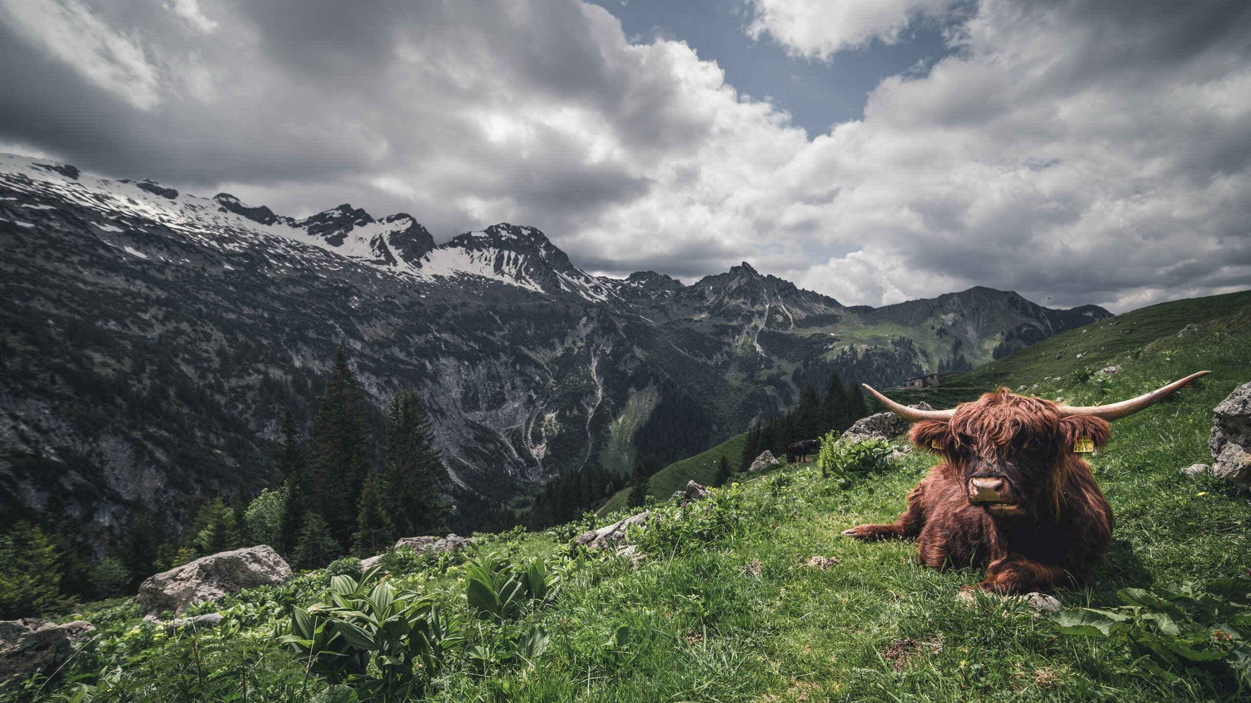 尼克斯掀翻北京队，当篮球灵魂在城市心跳中搏动