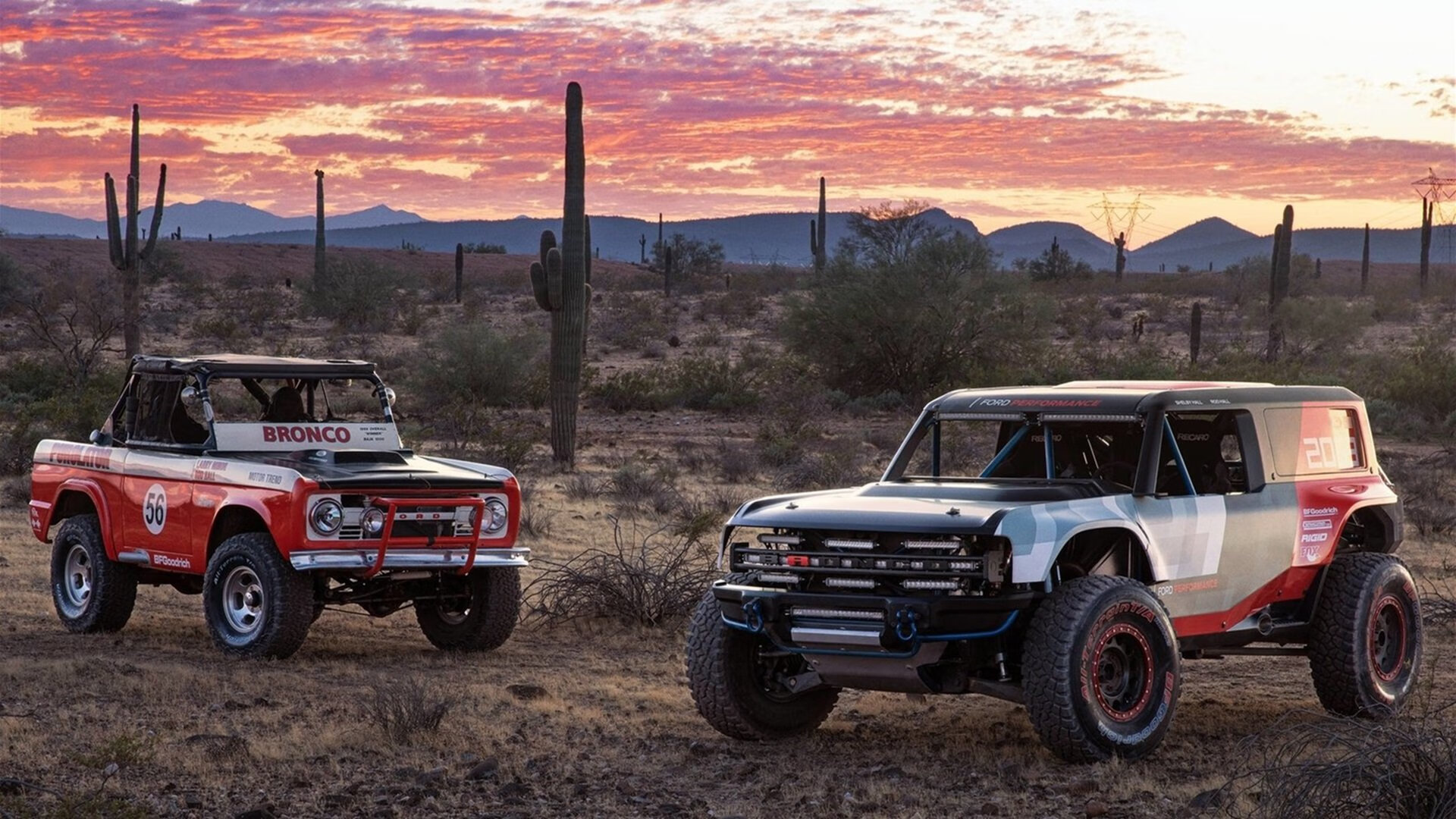 开云体育登录-撕裂北欧森林的拉丁闪电，加维在厄瓜多尔对阵瑞典一役中的唯一性宣言