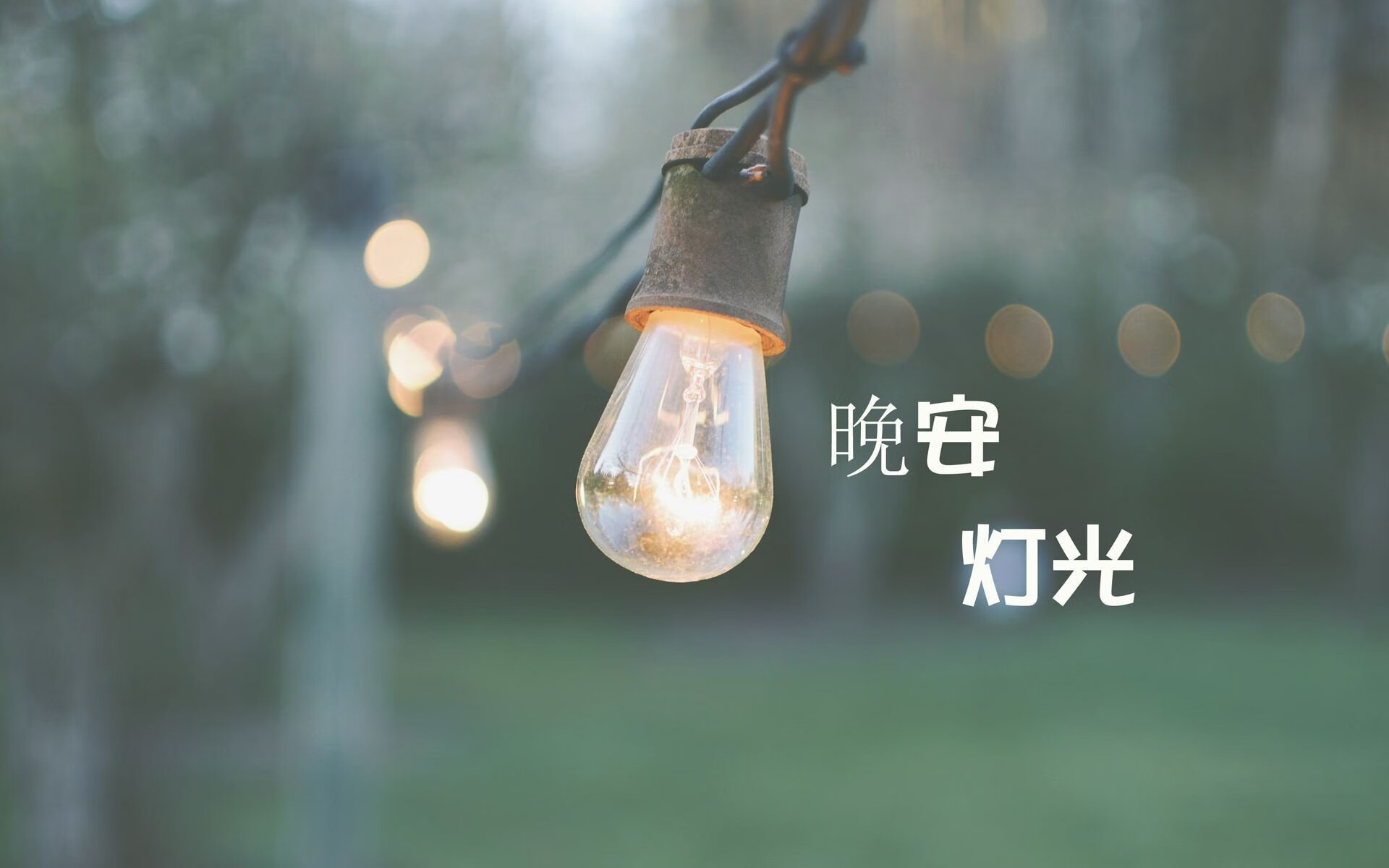 开云体育登录-奇迹之夜，2026世界杯G组关键战，印度横扫美国，京多安带队逆转翻盘