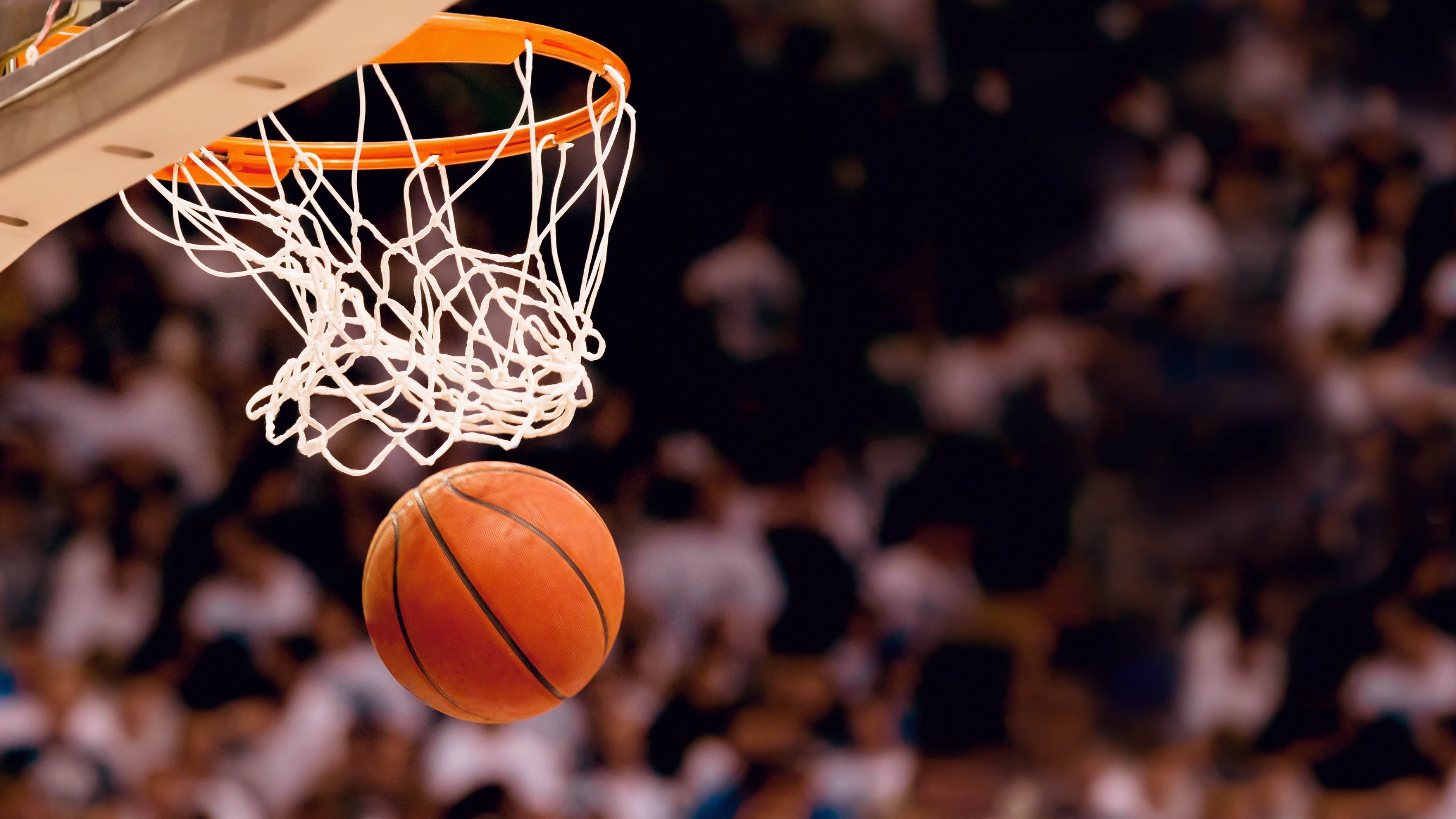 开云sport-三色旗与新月，当库尔图瓦成为G组唯一的门神，世界杯在孟买与纽约之间失重