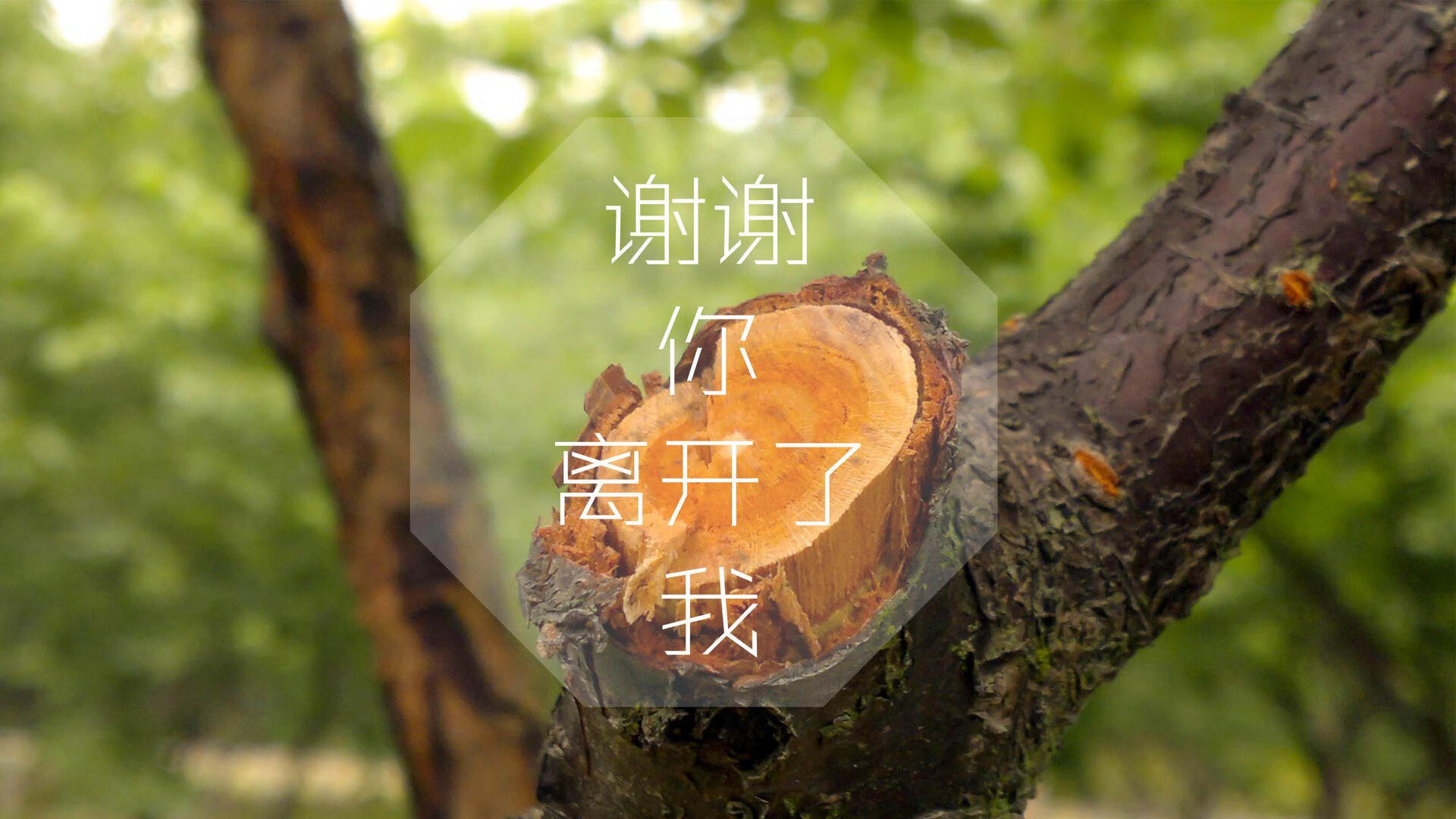 致命一击的底色,当斯洛伐克打破宿命,托纳利在世界之巅写下唯一