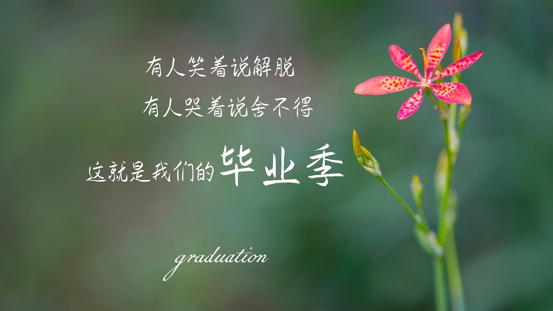 开云体育官网-孤星逐日，2026世界杯E组焦点战，加维独舞难阻波兰绝杀加纳