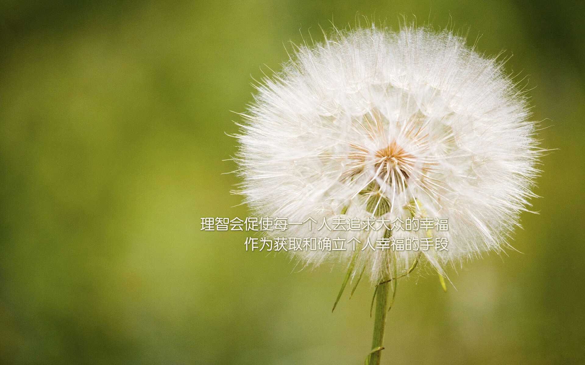 开云体育入口-孤星闪耀，2026世界杯G组，挪威绝地反击力克印度，迪亚斯一战封神