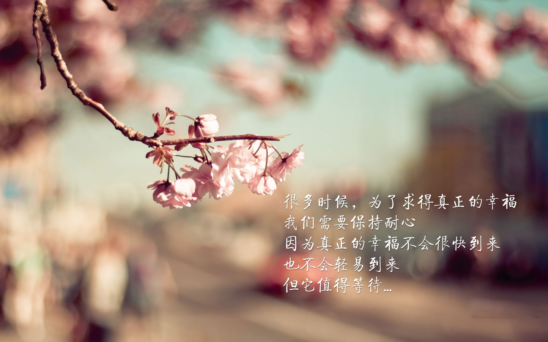 开云体育登录-在那致命一击之前，2026年E组，一场逆转如何改写了足球命运的密码
