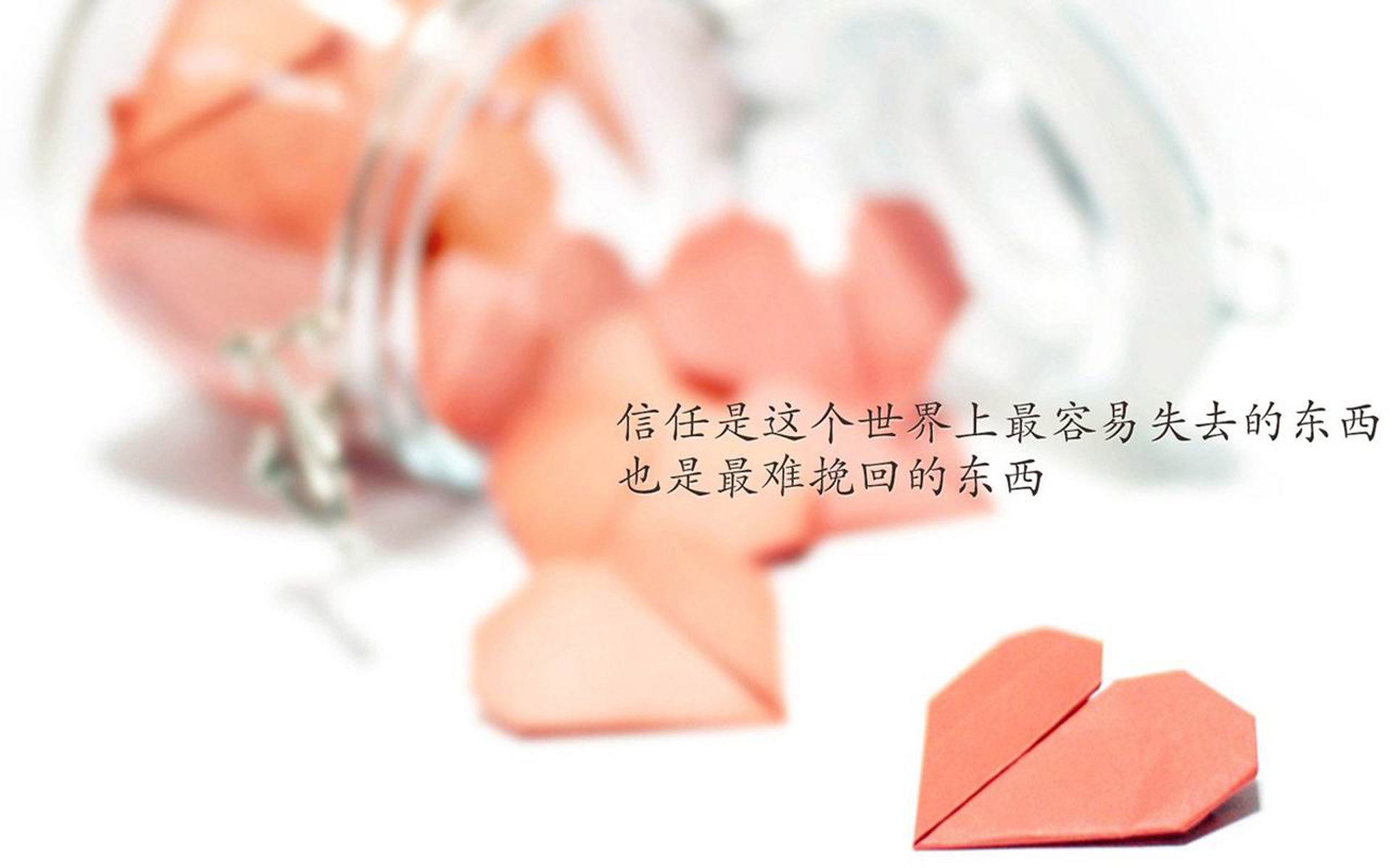 当铁骑碾过雄狮，一场关于秩序与天才的2026世界杯B组宣言
