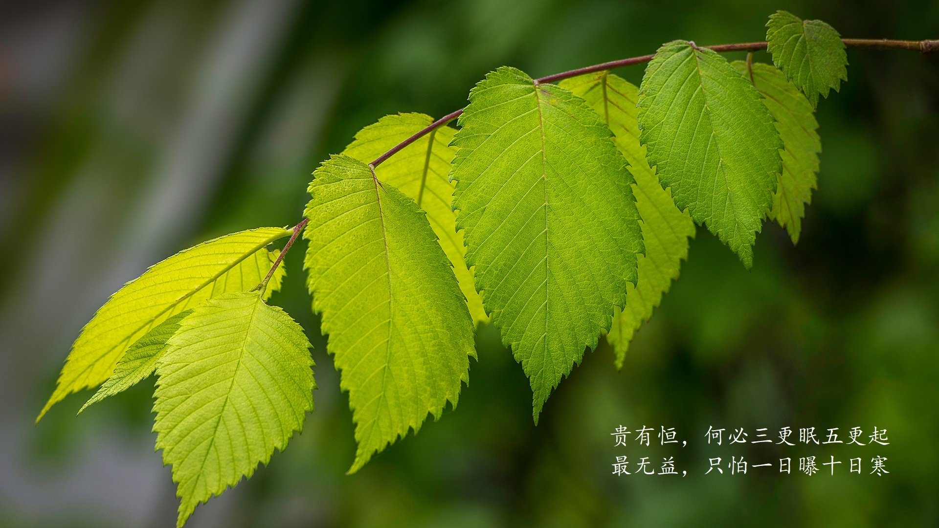 费利克斯的最后一秒，当足球之神在孟买写下摩洛哥的救赎诗篇